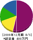 橋本建設 貸借対照表 2008年12月期