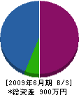 松樹園 貸借対照表 2009年6月期