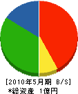 竹渕 貸借対照表 2010年5月期