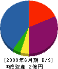 藤原プロダクト 貸借対照表 2009年6月期