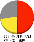 ナカシマ 損益計算書 2011年6月期