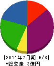 小林舞台システム 貸借対照表 2011年2月期