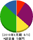 柿崎重機 貸借対照表 2010年6月期