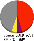 タケシマ 損益計算書 2009年12月期