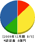 宮武電機 貸借対照表 2009年12月期