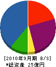 日本ウォーターシステム 貸借対照表 2010年9月期