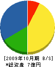 上野電機 貸借対照表 2009年10月期