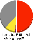 橋本舗道 損益計算書 2012年9月期