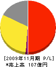 ミヤマ 損益計算書 2009年11月期