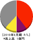 上田工務店 損益計算書 2010年6月期