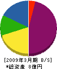 藤永地建 貸借対照表 2009年3月期