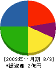 富山ゴム 貸借対照表 2009年11月期