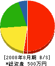 湘南基礎工業 貸借対照表 2008年8月期
