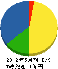 和田建設 貸借対照表 2012年5月期