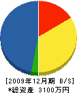 松野電気商会 貸借対照表 2009年12月期