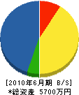 南日本ＡＶＣシステム 貸借対照表 2010年6月期