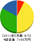 川本建設 貸借対照表 2011年5月期