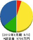 山崎設備工業 貸借対照表 2012年8月期