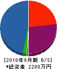 藤井造園 貸借対照表 2010年9月期