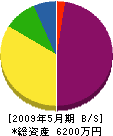 川添産業 貸借対照表 2009年5月期