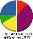 西村屋産業 貸借対照表 2010年11月期