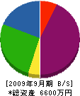 片桐電設 貸借対照表 2009年9月期