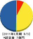 吉川建設 貸借対照表 2011年6月期