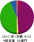 吉浦興産 貸借対照表 2011年1月期