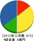 岩崎建設 貸借対照表 2012年12月期
