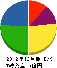 田中家 貸借対照表 2012年12月期