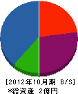 辰吉電気商会 貸借対照表 2012年10月期