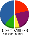 中央理化工業 貸借対照表 2007年12月期