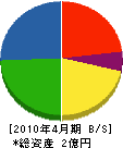 齋藤漆工芸 貸借対照表 2010年4月期