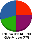 橋本設備 貸借対照表 2007年12月期