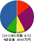 増田設備工業所 貸借対照表 2012年6月期