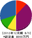 池田塗装 貸借対照表 2012年12月期