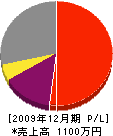 片山造園 損益計算書 2009年12月期