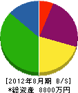 豊島建設 貸借対照表 2012年8月期