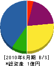 西川工業 貸借対照表 2010年6月期