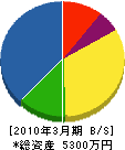 浅川信州造園土木 貸借対照表 2010年3月期