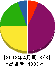 石川工務店 貸借対照表 2012年4月期