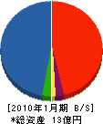 豊開発 貸借対照表 2010年1月期