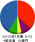 サノ・テクノ 貸借対照表 2010年5月期