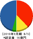 島田組 貸借対照表 2010年9月期