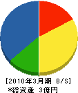 愛媛日化サービス 貸借対照表 2010年3月期