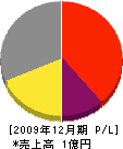 斎藤工務所 損益計算書 2009年12月期