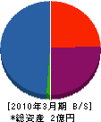新日本ホーム 貸借対照表 2010年3月期