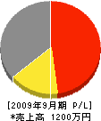 タムラ工業所 損益計算書 2009年9月期