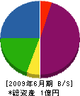 薗田建設 貸借対照表 2009年6月期