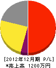 相澤塗装工業 損益計算書 2012年12月期